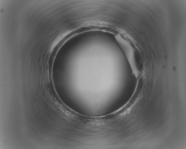 X0000068830877200605051233