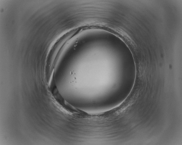 X0000068830880200605051233