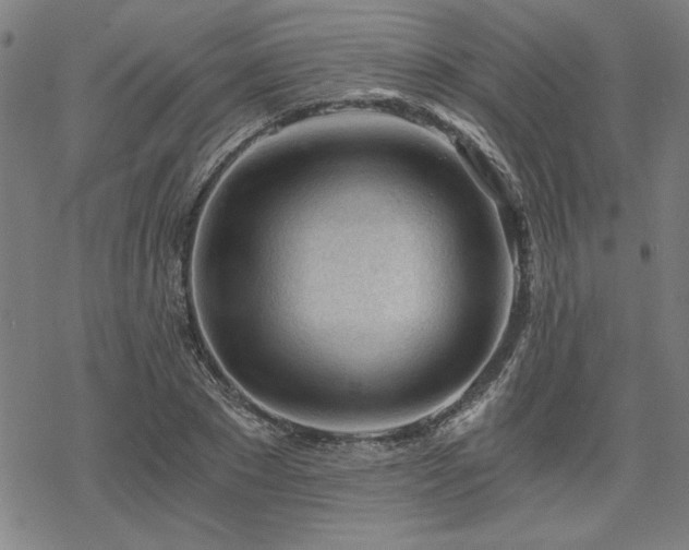 X0000068830881200605051233