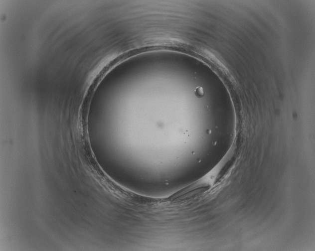 X0000068830883200605051233