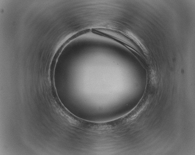 X0000068830884200605051233