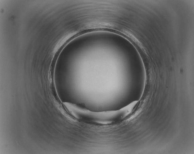 X0000068830885200605051233