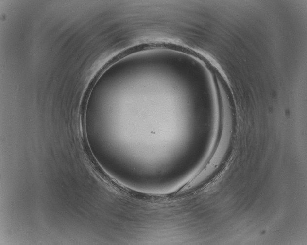 X0000068830887200605051233