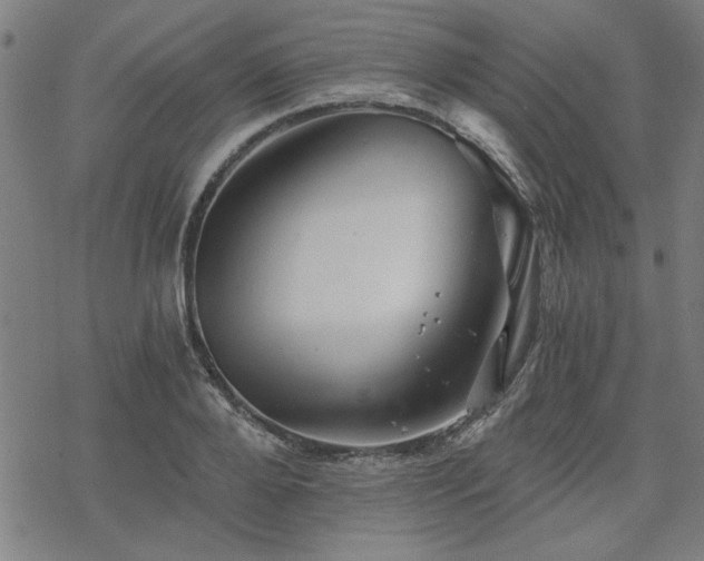 X0000068830888200605051233