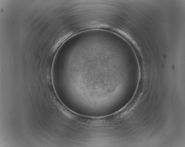 X0000068830889200605051233