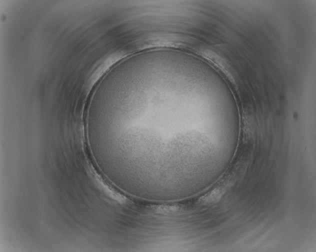 X0000068830890200605051233