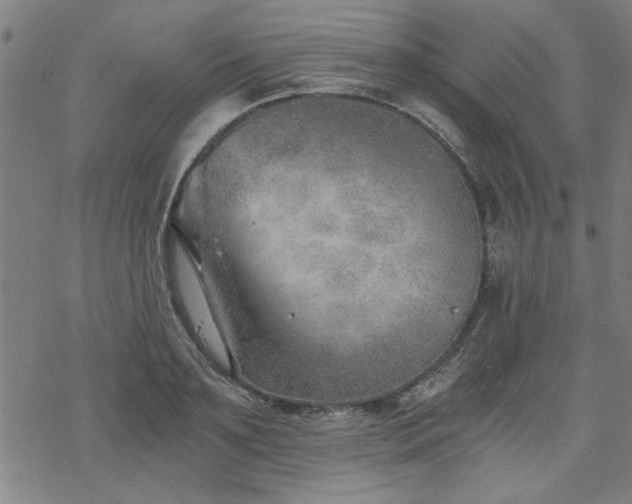 X0000068830891200605051233