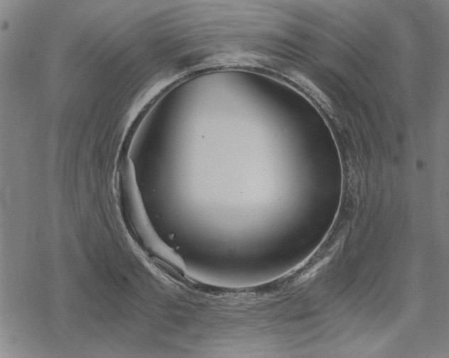 X0000068830893200605051233