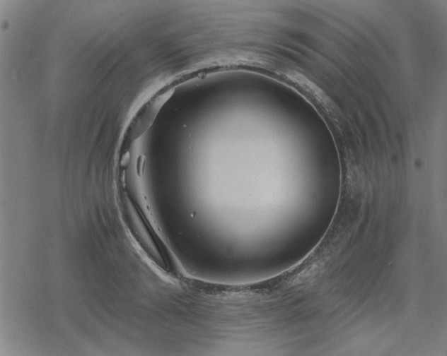 X0000068830894200605051233