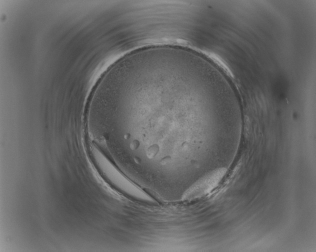 X0000068830895200605051233