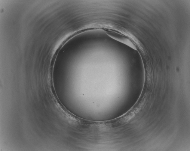 X0000068830896200605051233