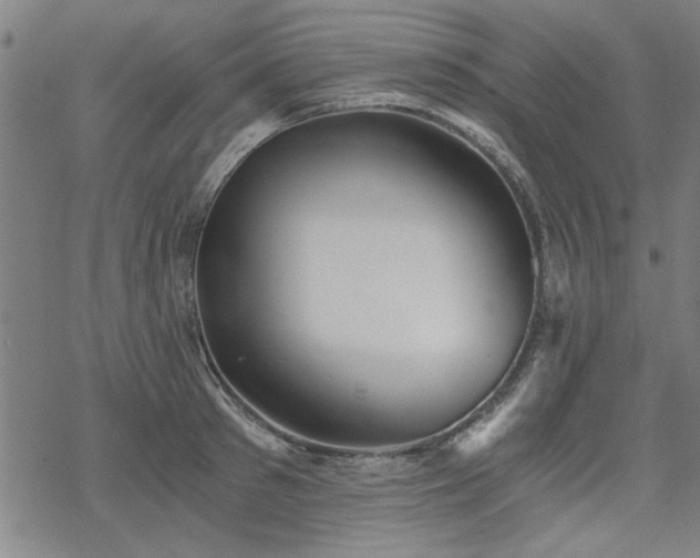 X0000068830897200605051233