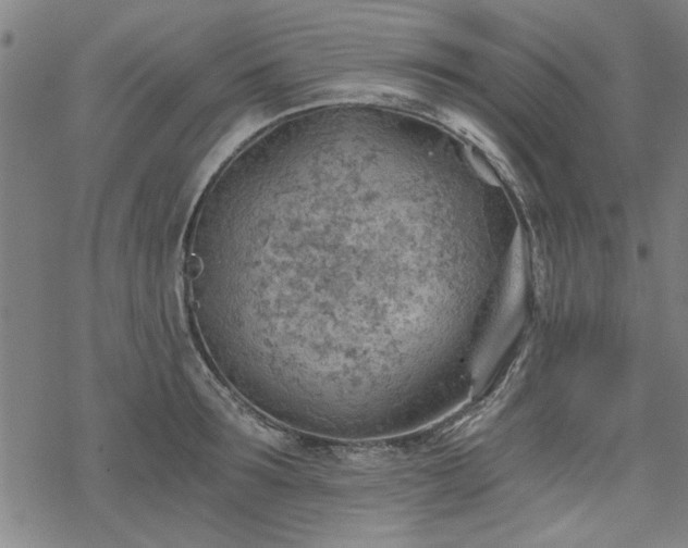 X0000068830899200605051233