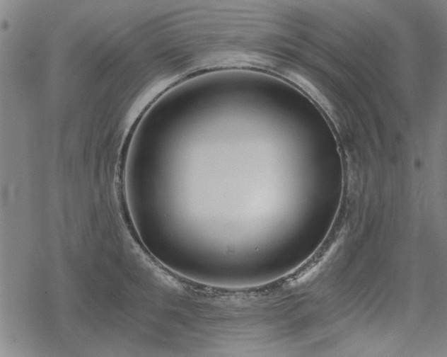 X0000068830901200605051233