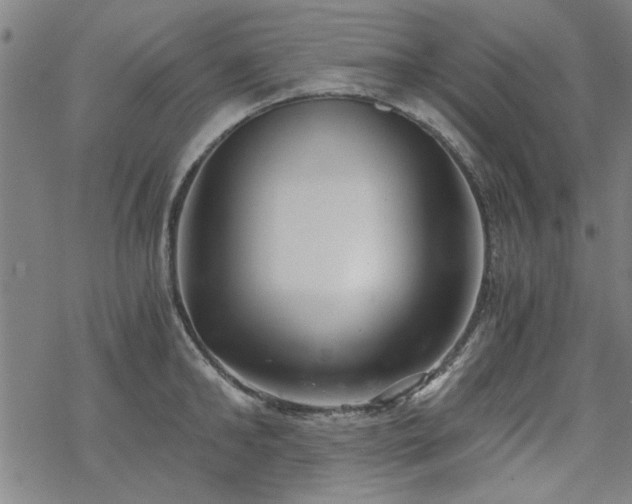 X0000068830902200605051233