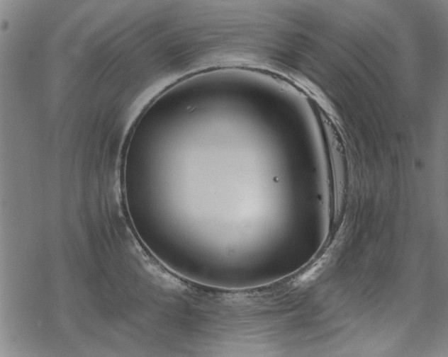 X0000068830904200605051233