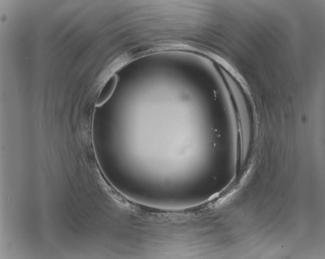 X0000068830905200605051233