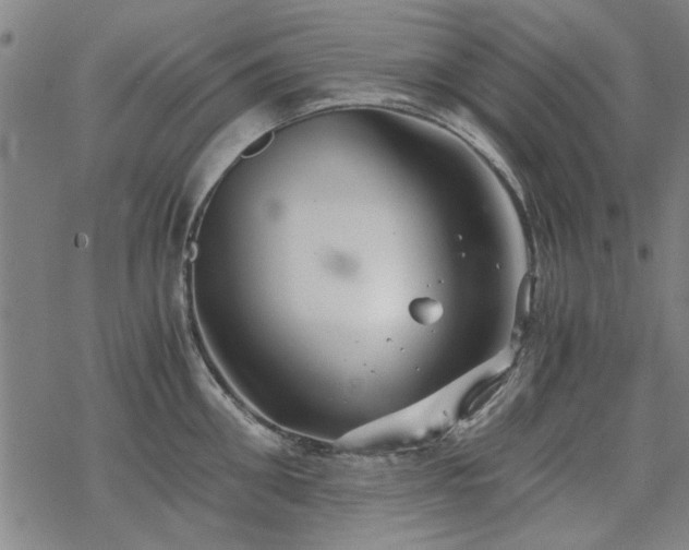 X0000068830906200605051233