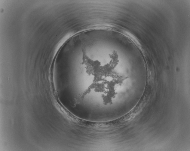 X0000068830907200605051233