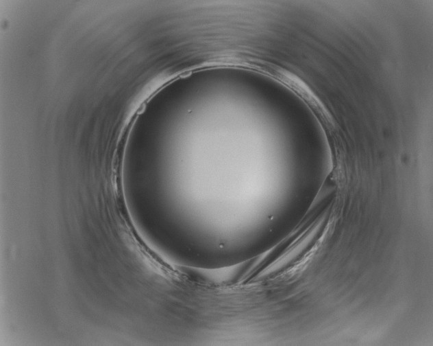 X0000068830908200605051233