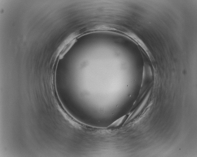 X0000068830909200605051233