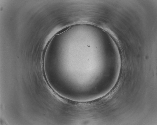 X0000068830910200605051233