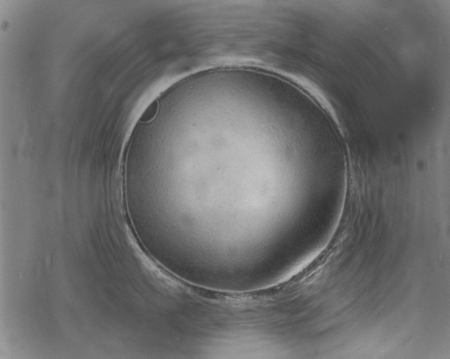 X0000068830911200605051233