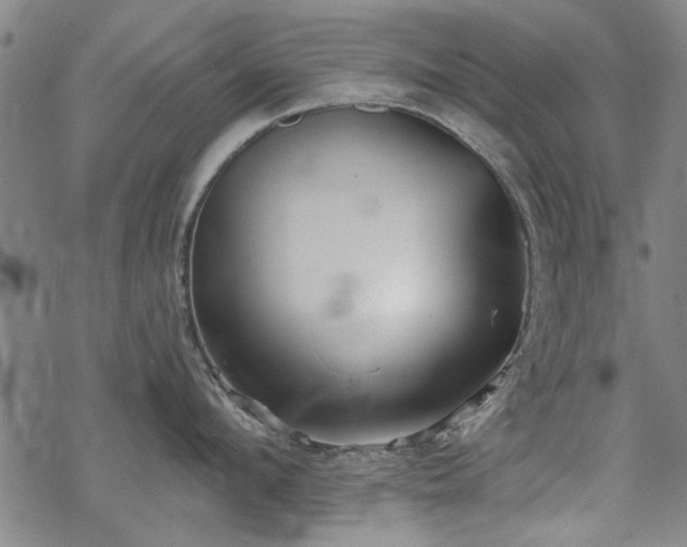 X0000068830912200605051233