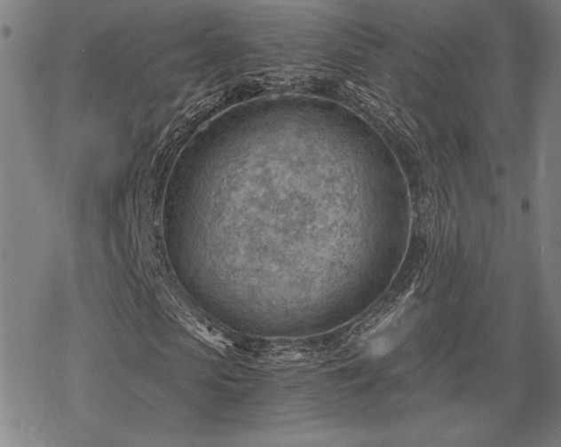 X0000068830913200605051232