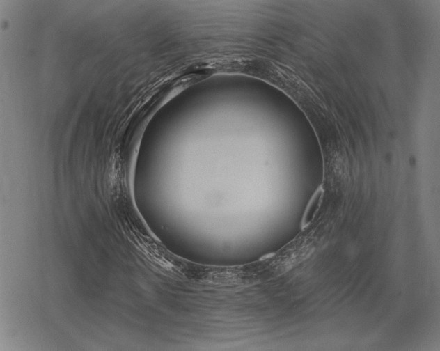 X0000068830914200605051232