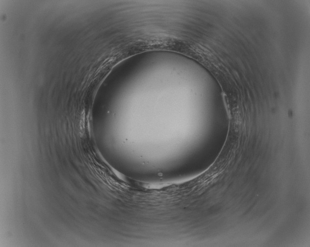 X0000068830916200605051232