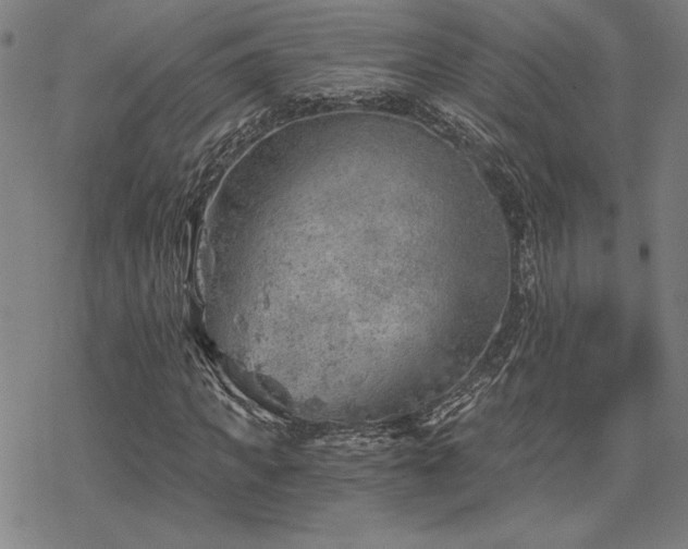 X0000068830917200605051232