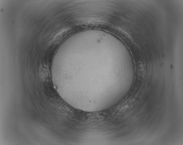 X0000068830918200605051232