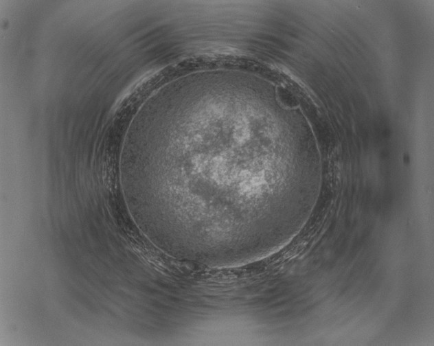 X0000068830919200605051232