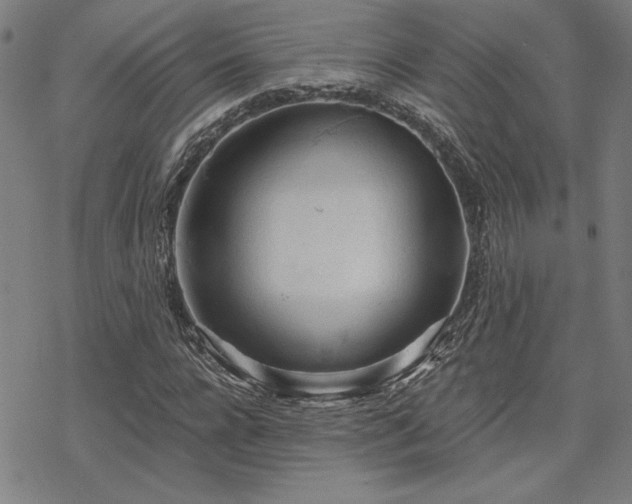 X0000068830920200605051232