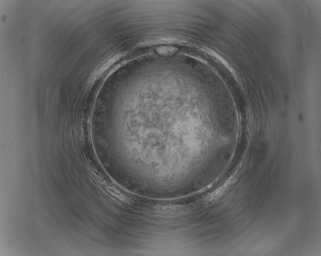 X0000068830921200605051232