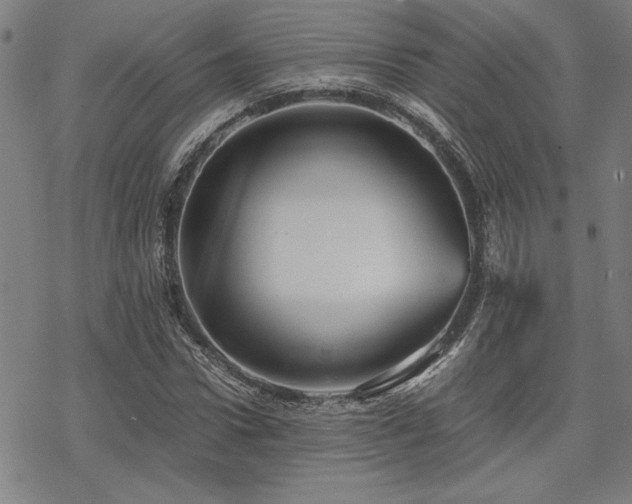 X0000068830922200605051232