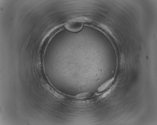 X0000068830923200605051232