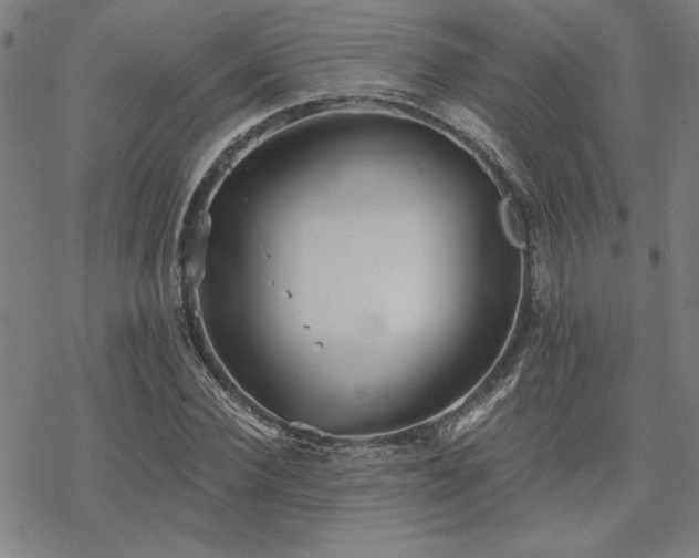 X0000068830924200605051232