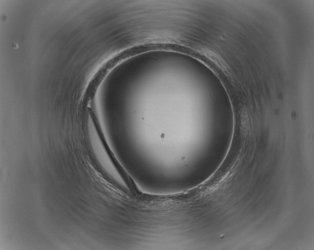 X0000068830926200605051232