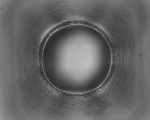 X0000068830927200605051232