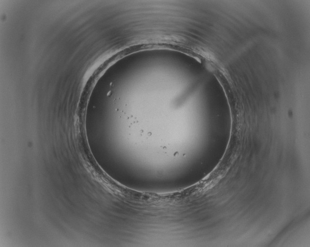 X0000068830928200605051232