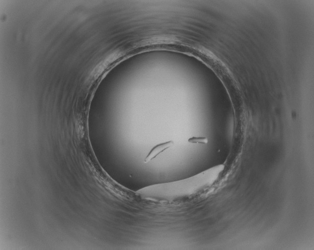 X0000068830929200605051232