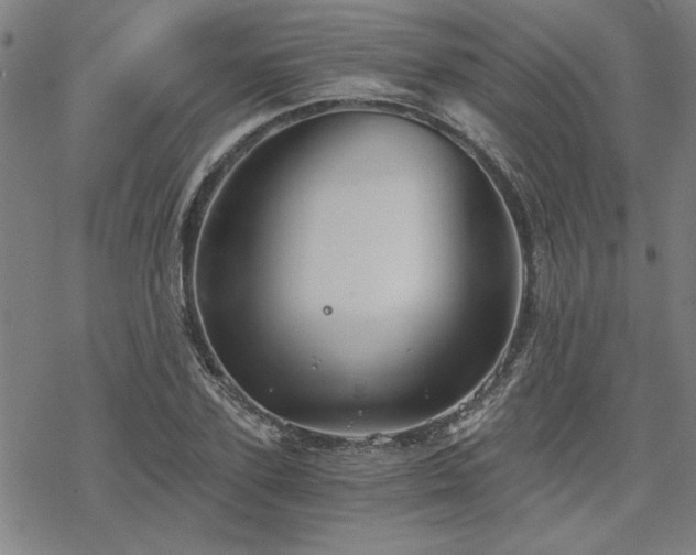 X0000068830931200605051232