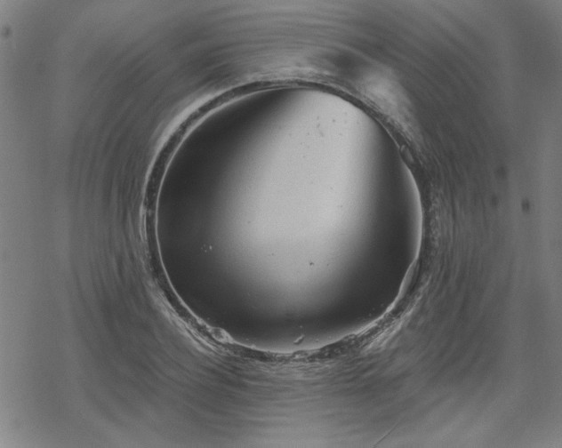 X0000068830932200605051232