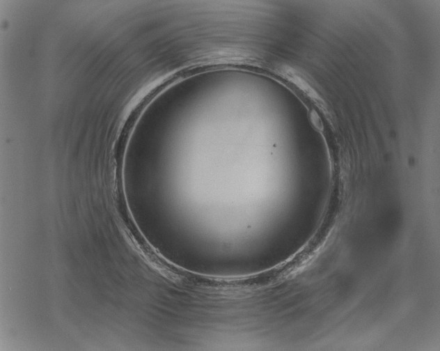 X0000068830933200605051232