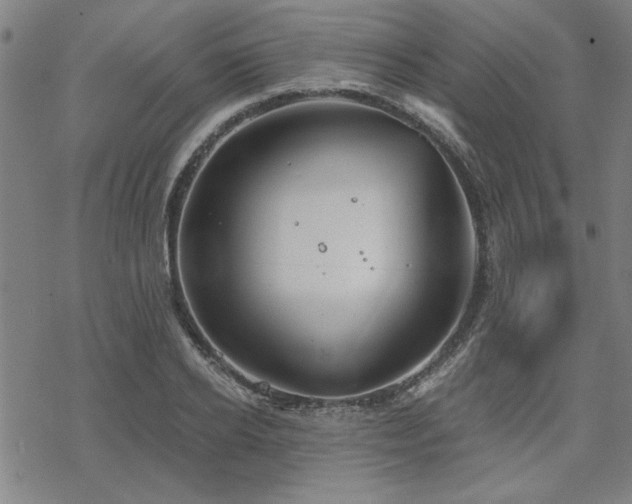 X0000068830934200605051232