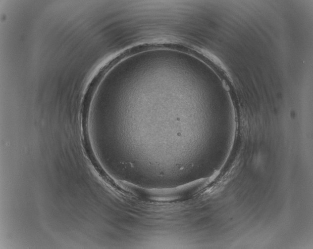 X0000068830935200605051232