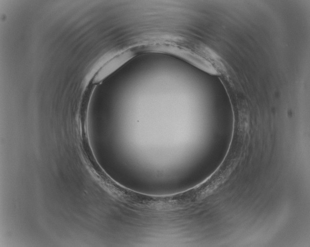 X0000068830936200605051232