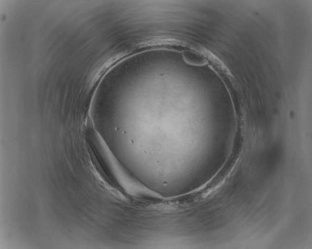 X0000068830937200605051232